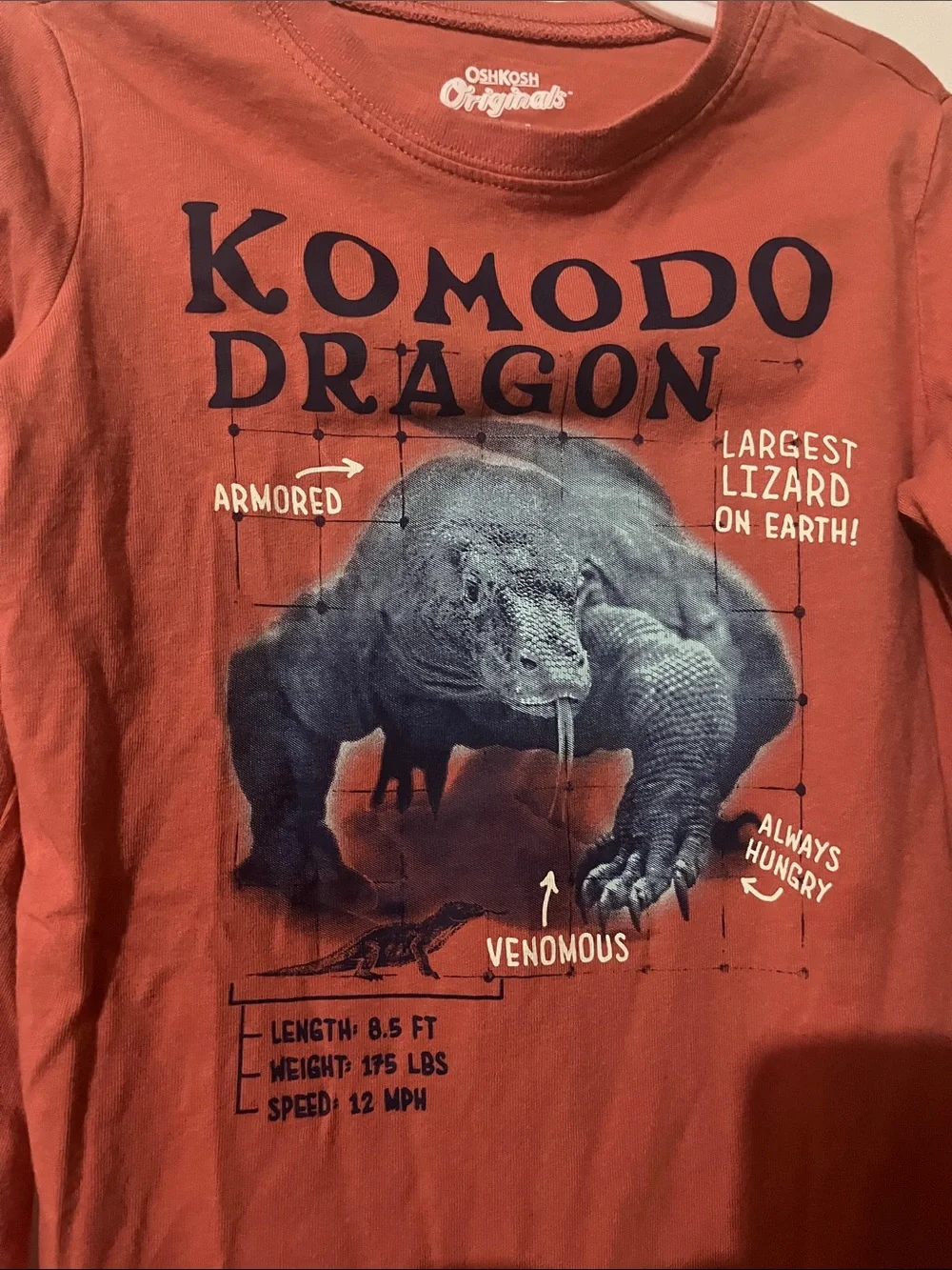 OshKosh B'gosh Boys Komodo Dragon Graphic Long Sleeve Tee - Rust Orange